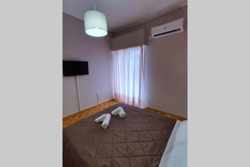 Greek Hospitality In A Modern Apartment 雅典 外观 照片