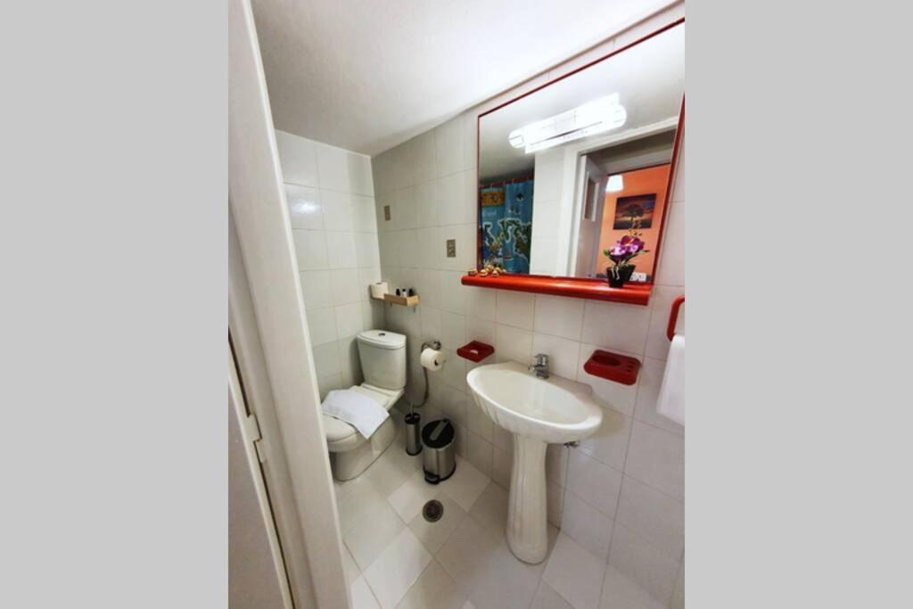 Greek Hospitality In A Modern Apartment 雅典 外观 照片